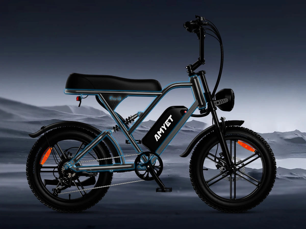 Adults Electric Bike