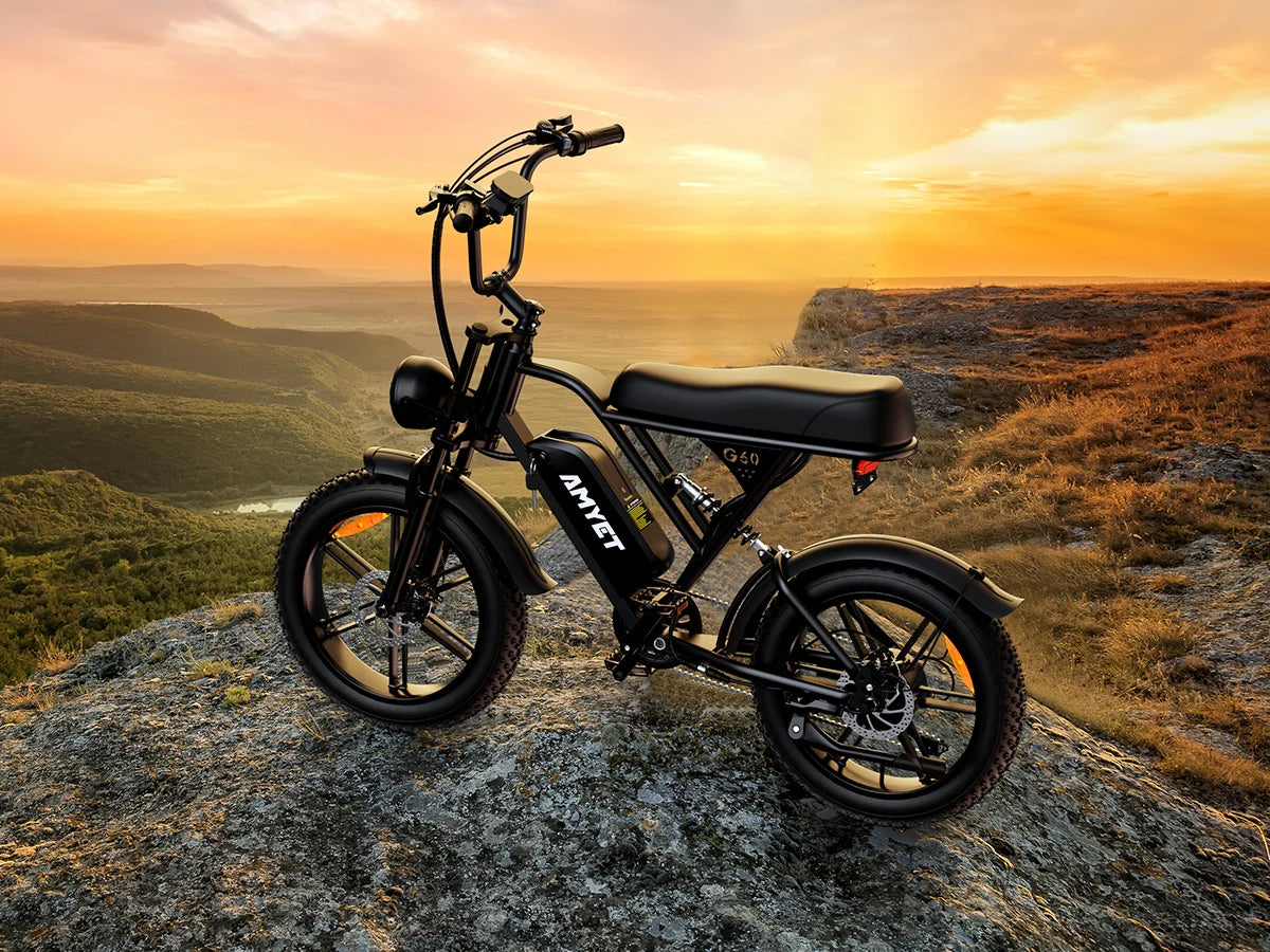 Adults Electric Bike