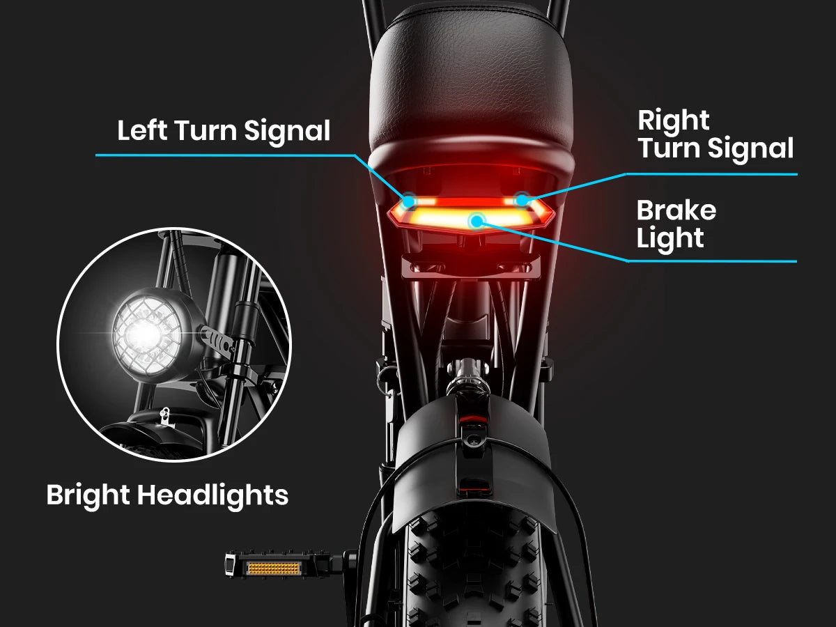 Adults Electric Bike